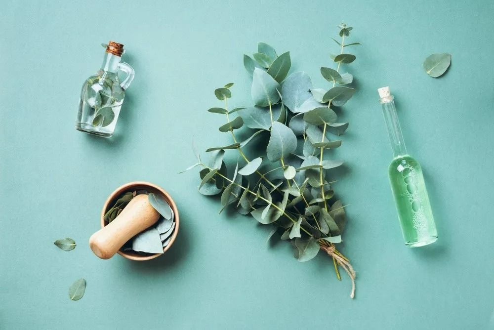Eucalyptus Leaves, Mortar and Pestle, and Bottles of Liquid — All Body Holistic Health in Thuringowa Central, QLD