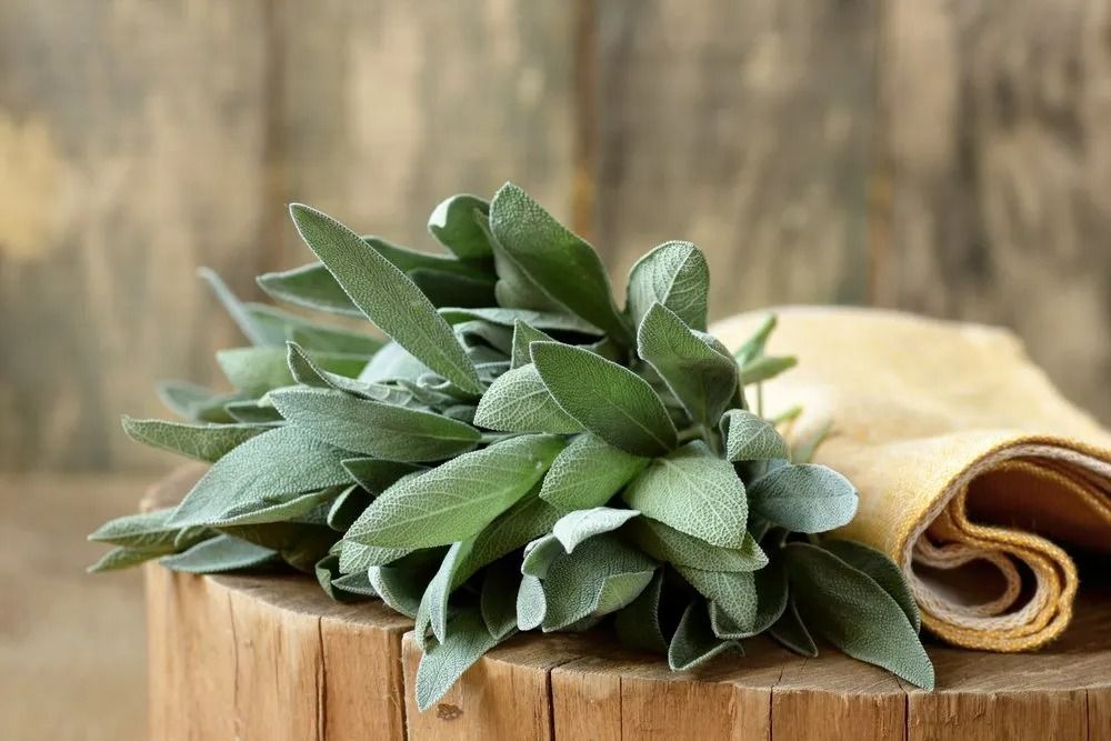 Bundle of Sage Leaves on a Wooden Surface — All Body Holistic Health in Thuringowa Central, QLD