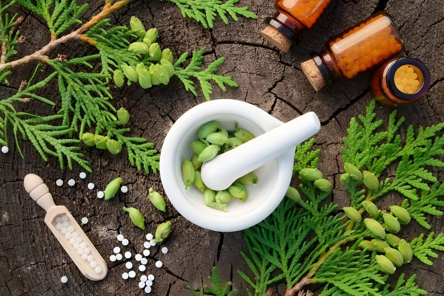 Natural Herbal Ingredients In A Mortar And Pestle