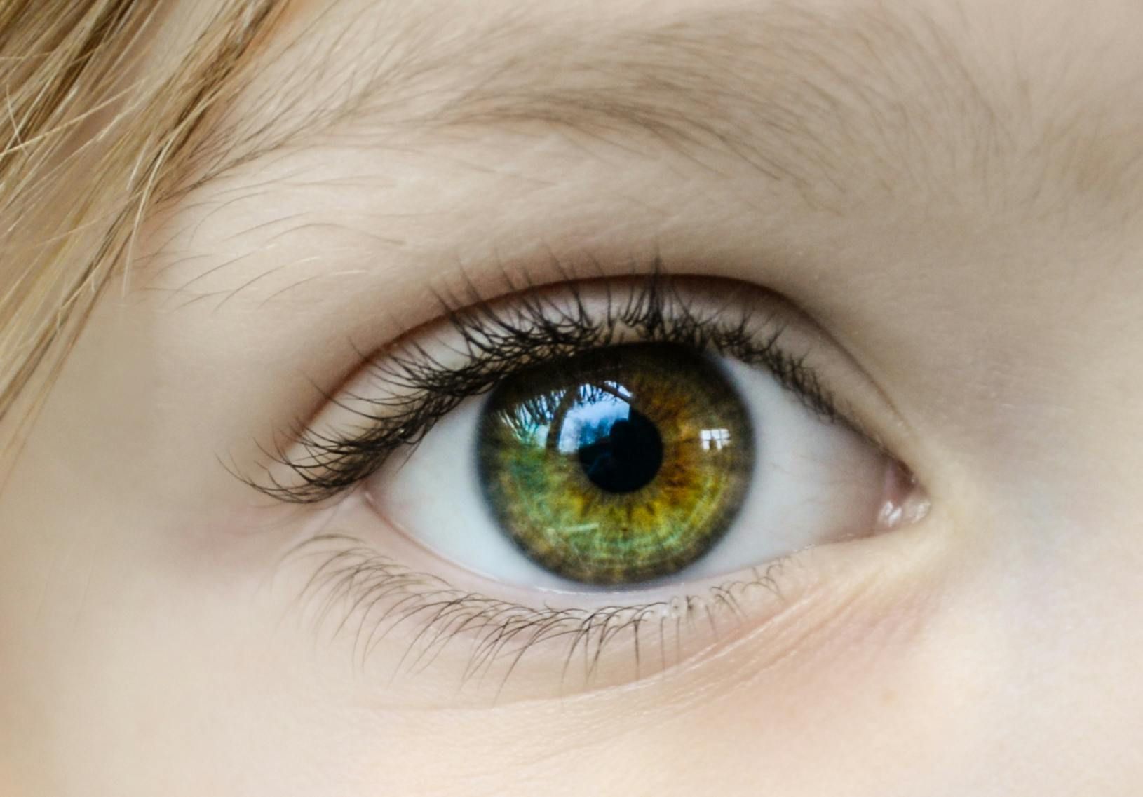 Close-up of a Blue Eye, With a Black Pupil and Intricate — All Body Holistic Health in Thuringowa Central, QLD