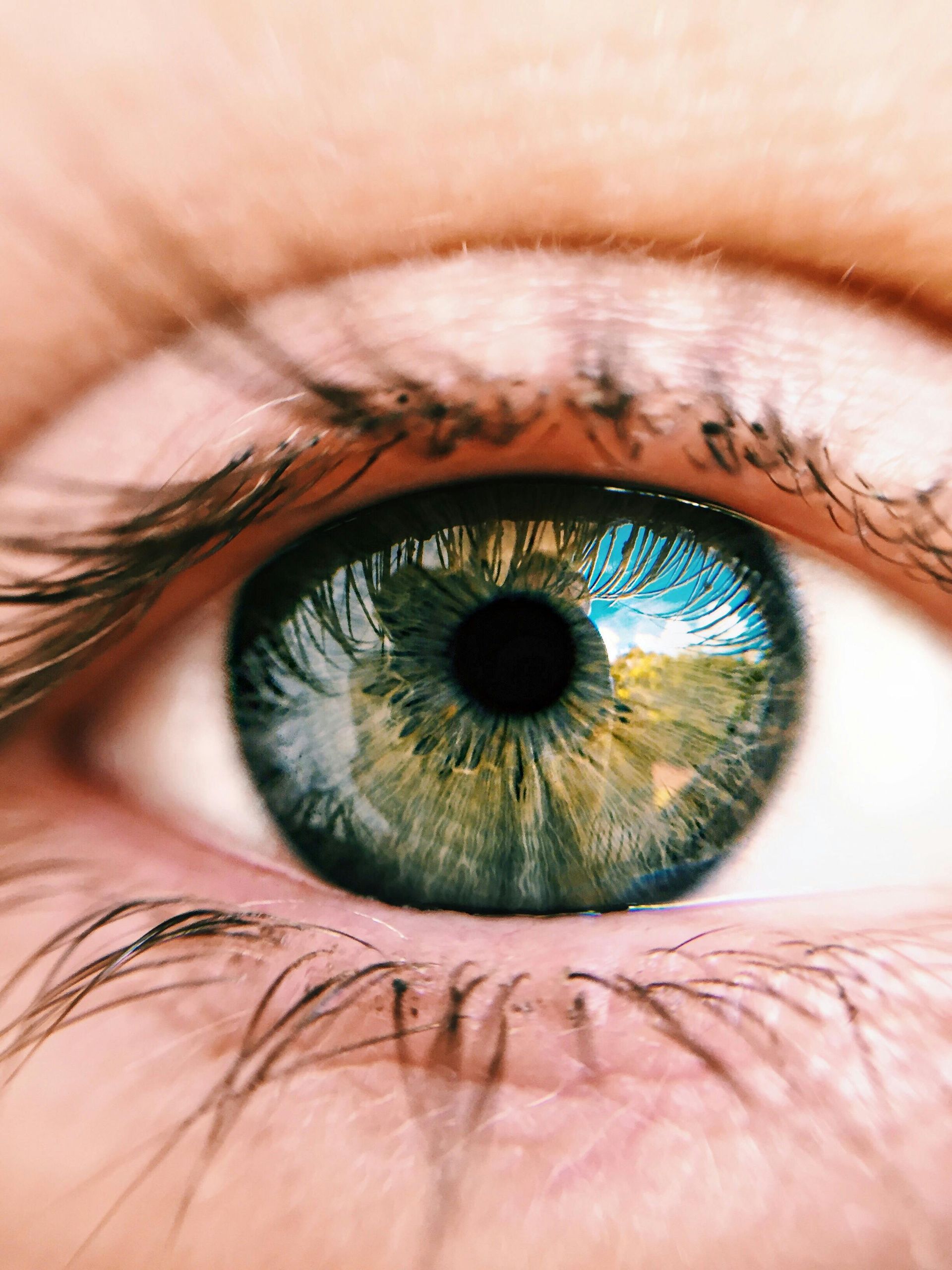 Close-up of a Light Blue Eye, Reflecting a Distant Landscape — All Body Holistic Health in Thuringowa Central, QLD