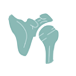 Shoulder impingement and bursitis Shoulder impingement and bursitis