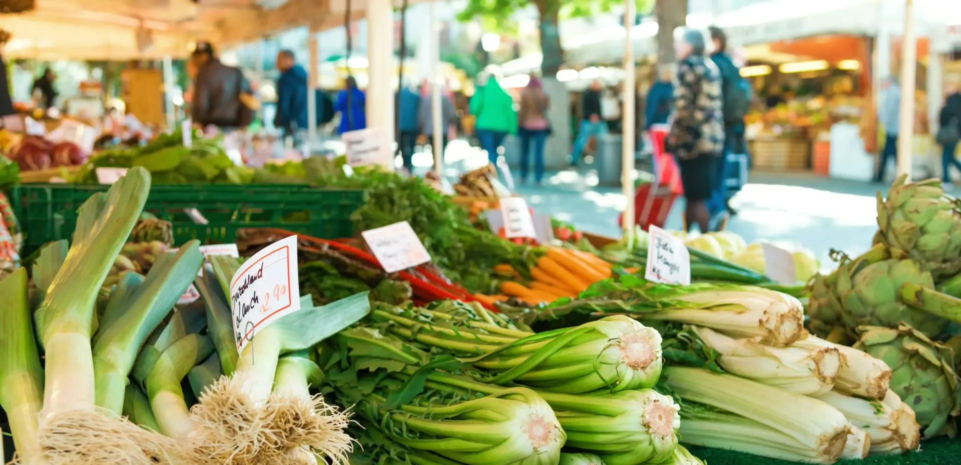 A Display of Vegetables at a Las Vegas Farmer's Market