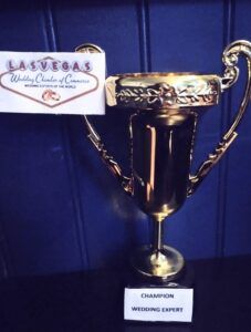 Vegas Wedding Chamber Strike Out Cancer 2022 14