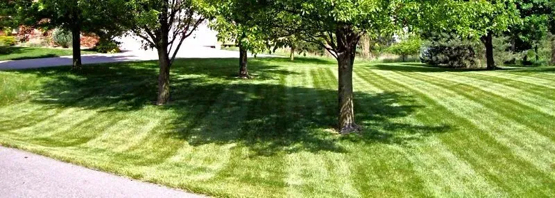 Landscaping Services — Hutchinson, KS — Jason's Total Lawn Care