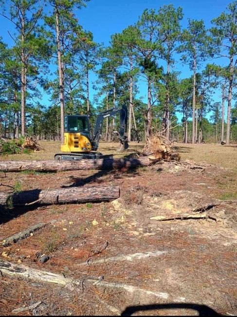 Yellow excavator clearing fallen trees in a pine forest under a clear blue sky.