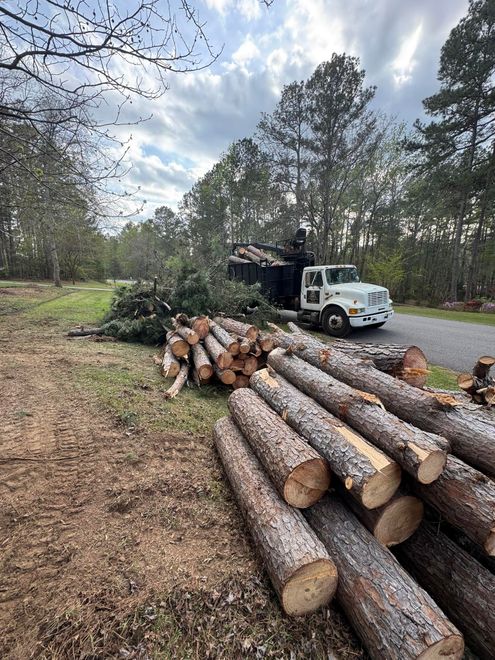 Logs stacked beside a white truck in a wooded clearing under a cloudy sky.