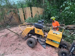 Person standing beside yellow lawnmower near a tree stump in a yard