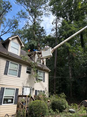 Workers clearing a fallen tree beside a road, with a utility truck in the background.