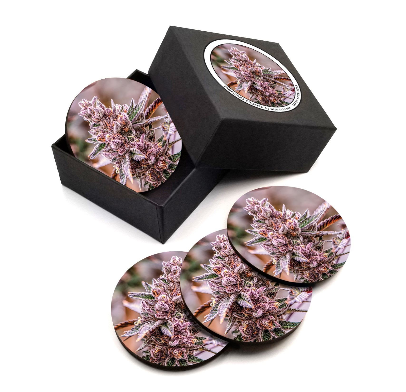 Nick Johnson Tropicana Cookies Coaster Set 4 Pack