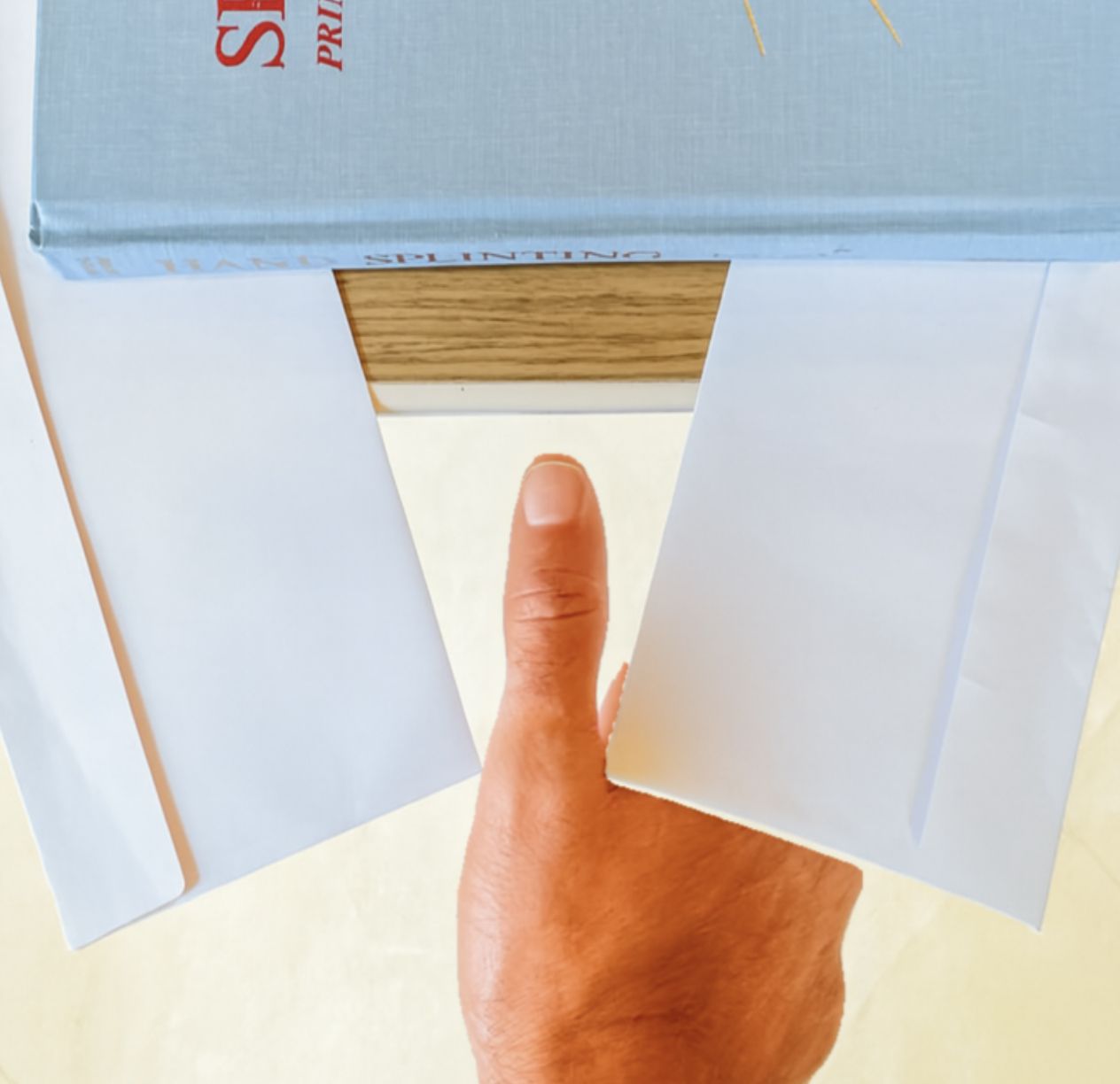 Hand holding open a white folded paper booklet with a blue cover at the top.