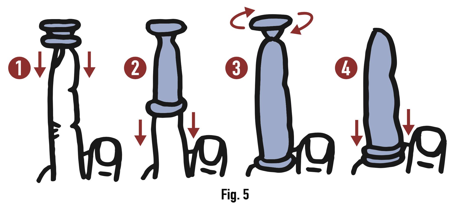 Step-by-step diagram of a standing person lifting and rotating a cane from bent to upright positions.