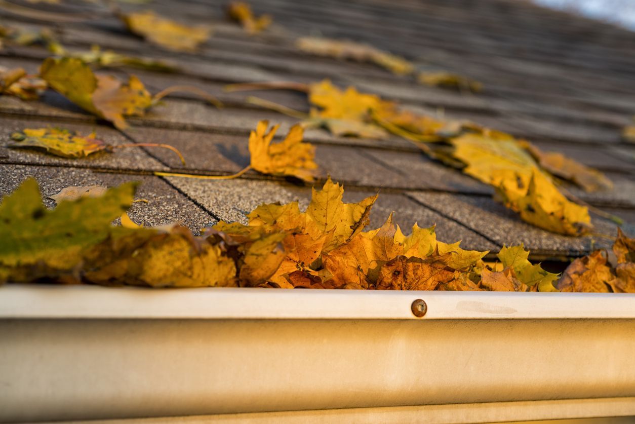 Gutter Cleaning