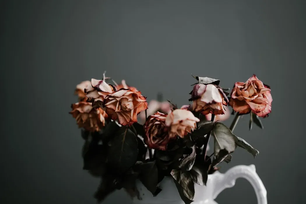 cremation services in or near Lebanon PA