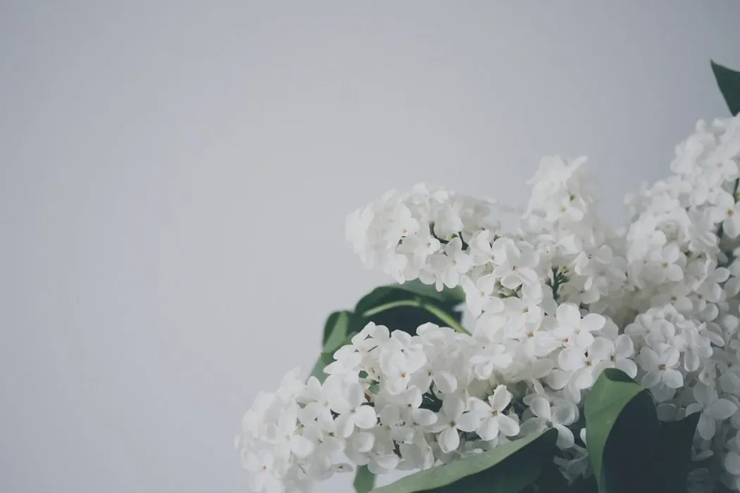funeral homes in Myerstown, PA