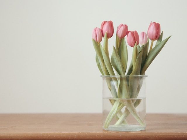 cremation services in Lebanon, PA