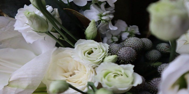 cremation services in or near Myerstown PA