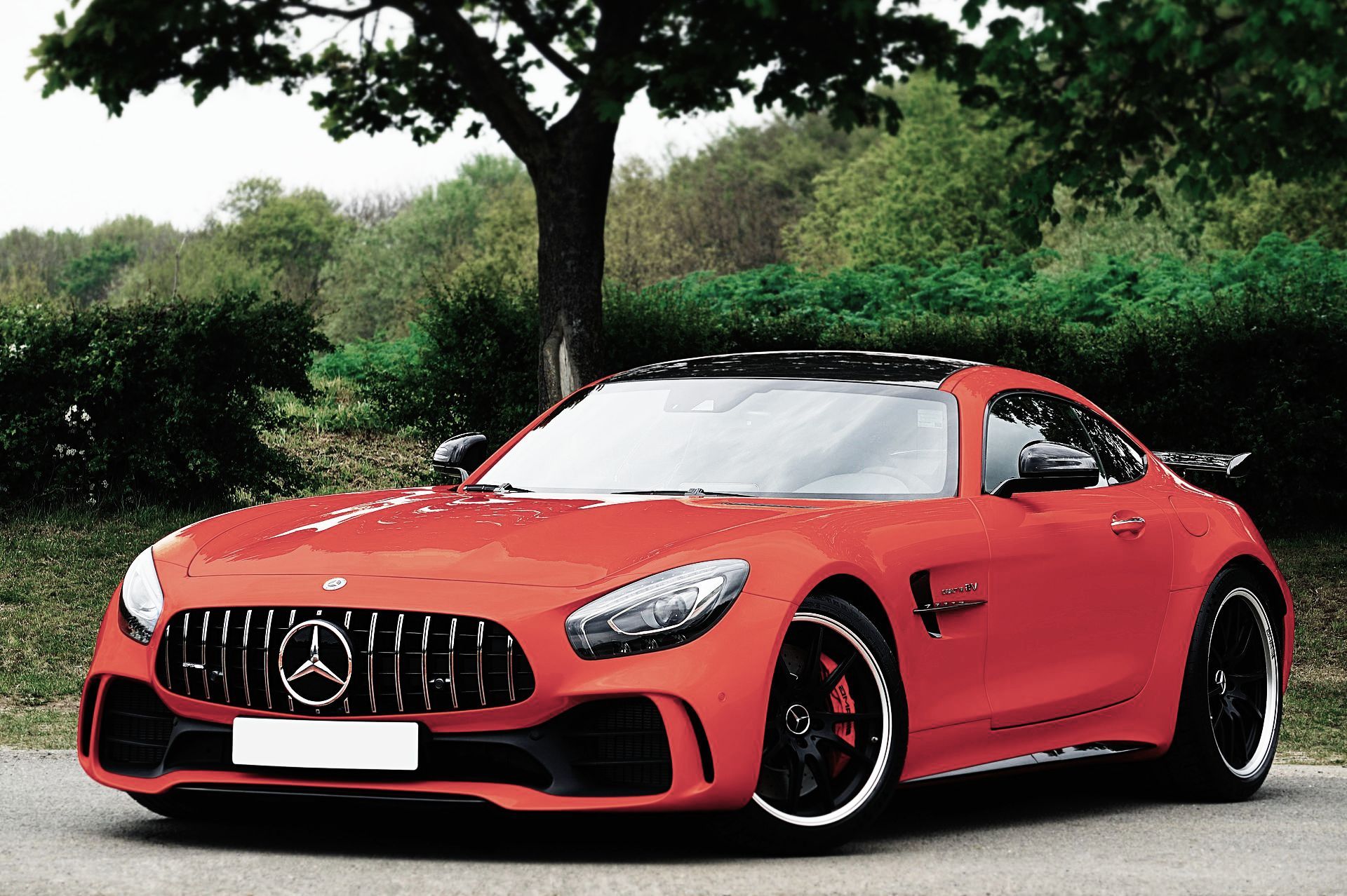 Red Mercedes-AMG GT sports car parked on a road with trees in the background.