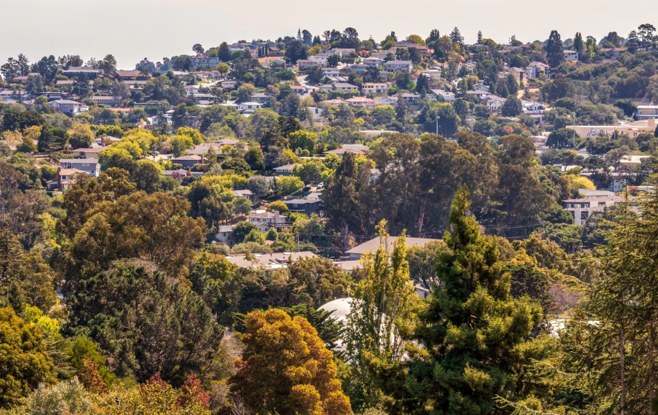 Belmont