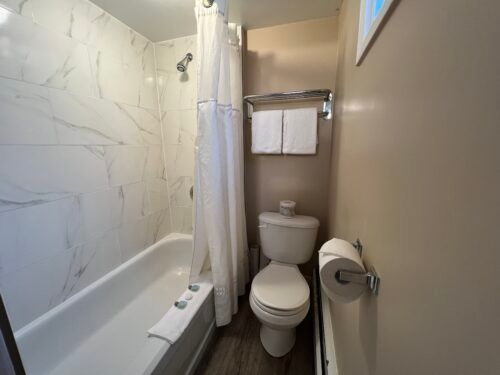 A bathroom with a toilet , bathtub and shower.