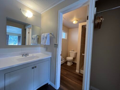 A bathroom with a sink , toilet , and mirror.