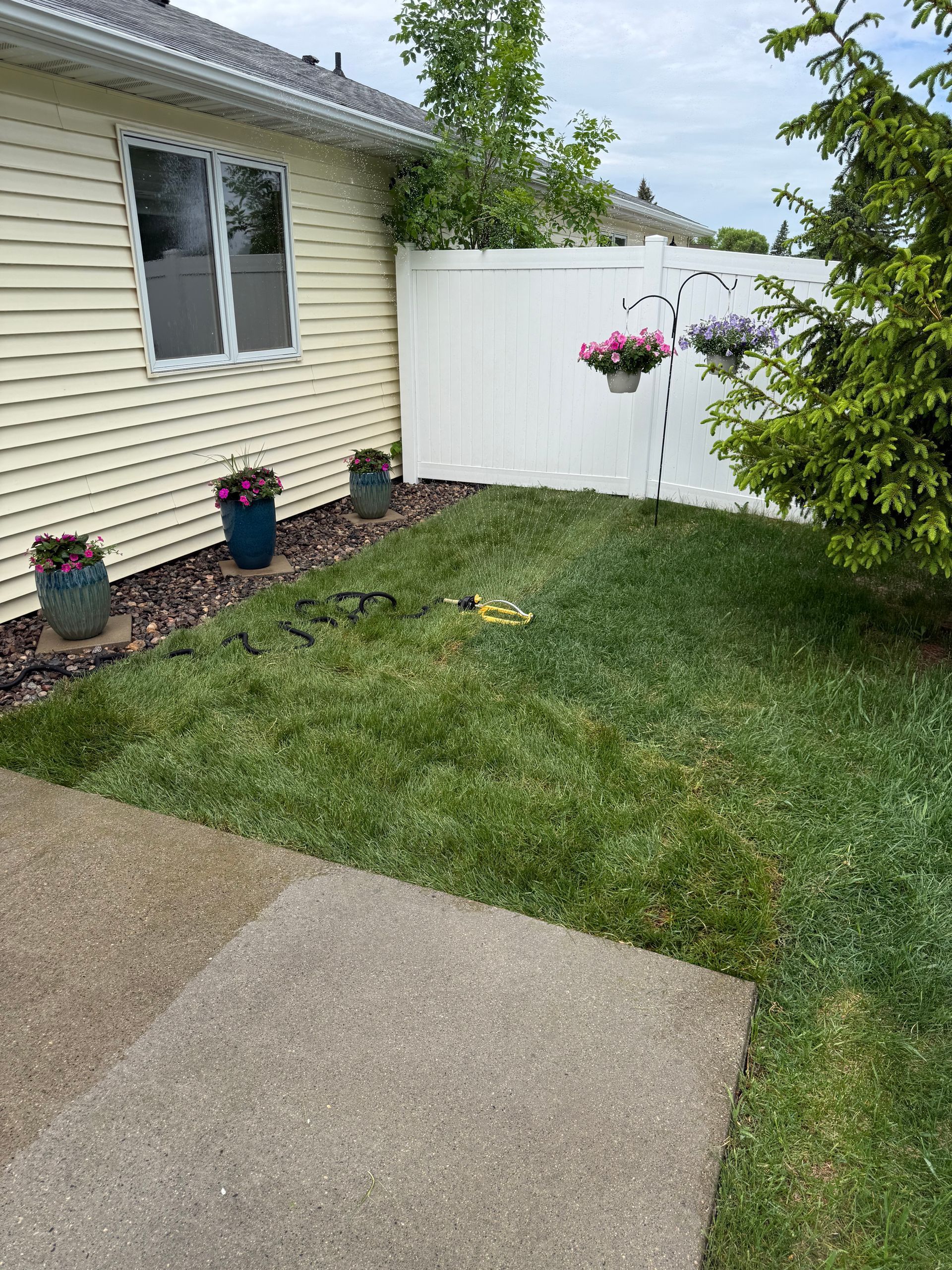 Backyard with grass, concrete patio, beige house siding, white fence, and hanging pink flowers.
