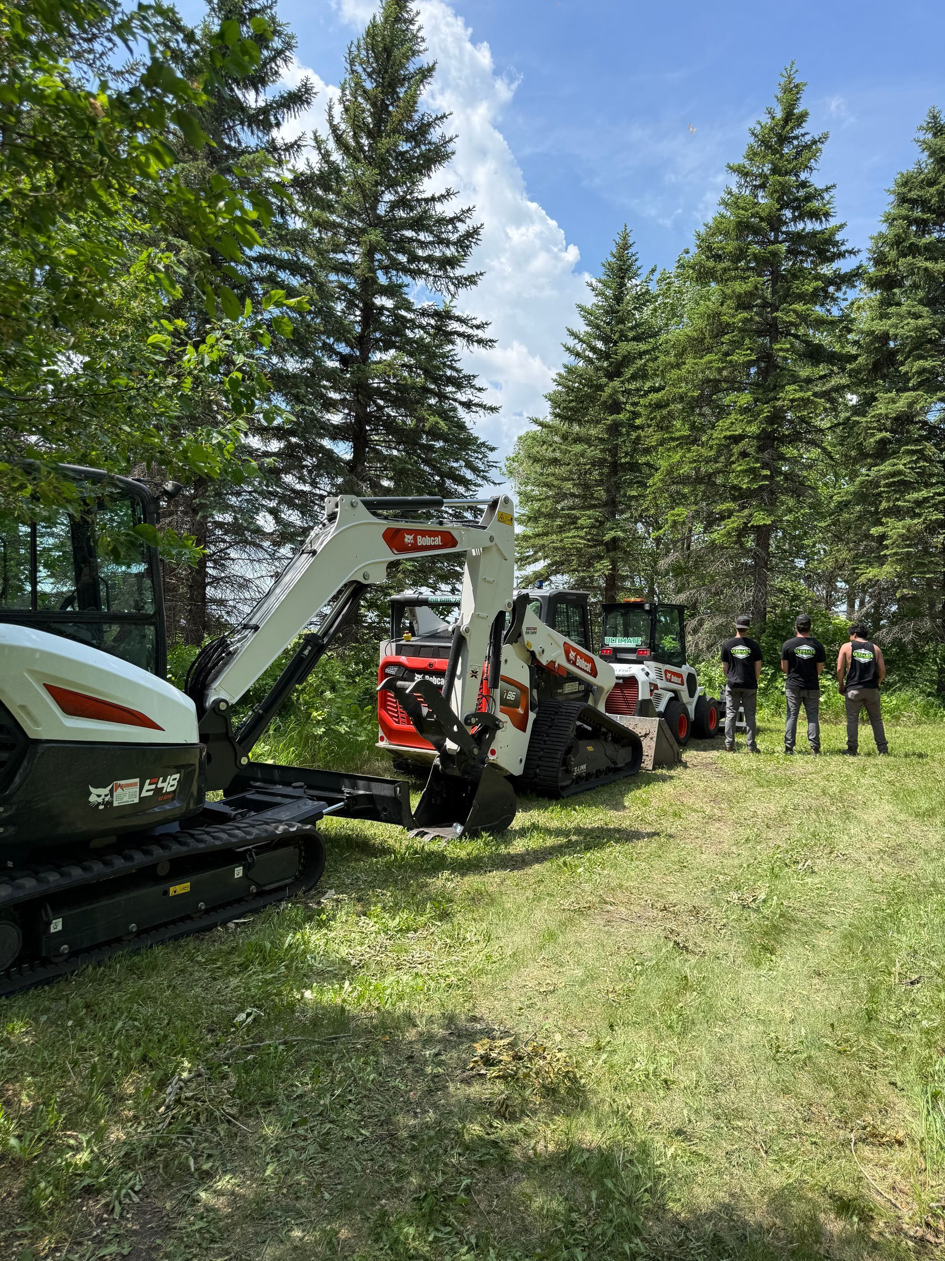 Construction machines and workers in a grassy forest clearing under tall pine trees