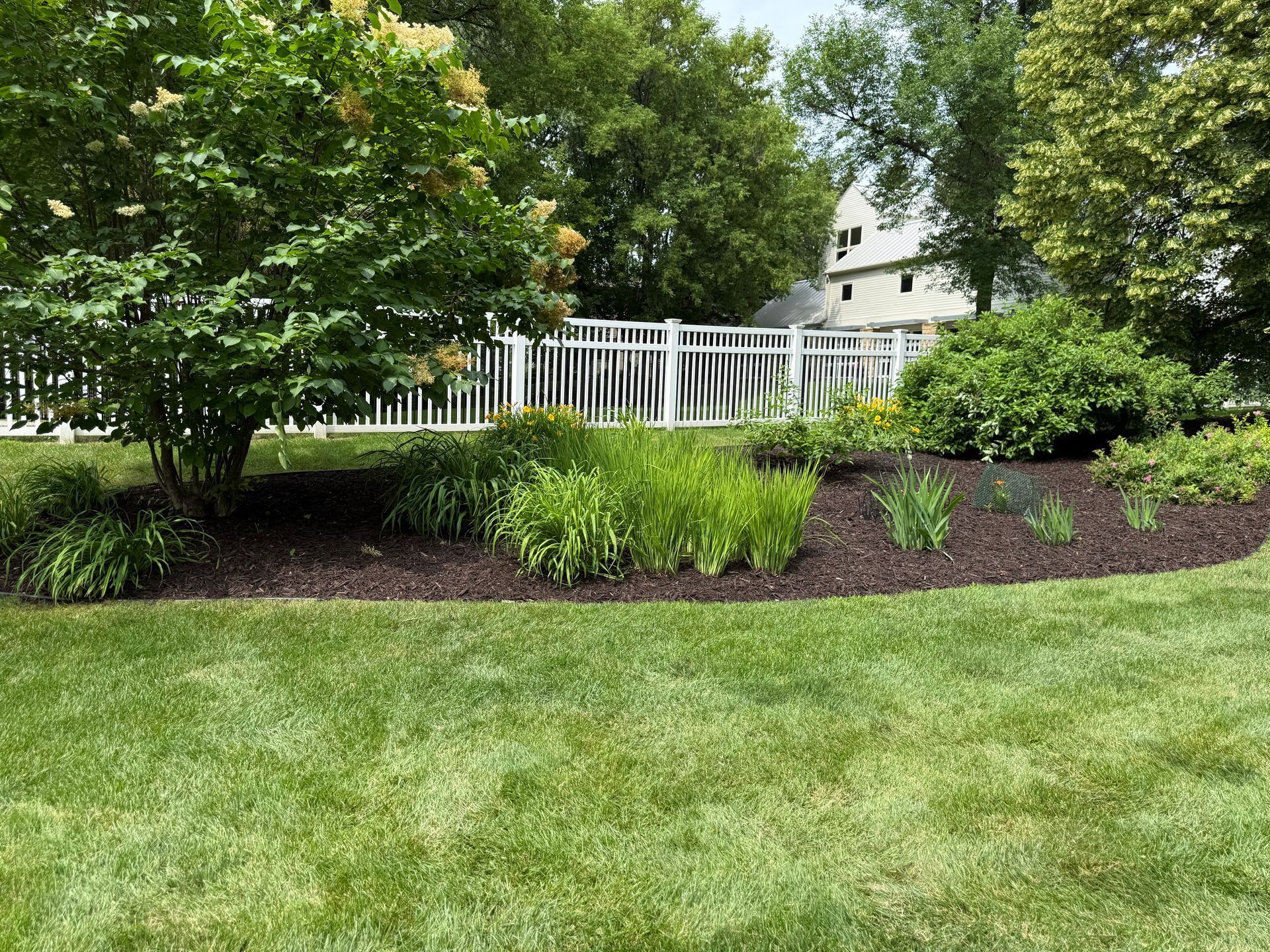 Lush green garden with shrubs and a white fence beside a house on a sunny day