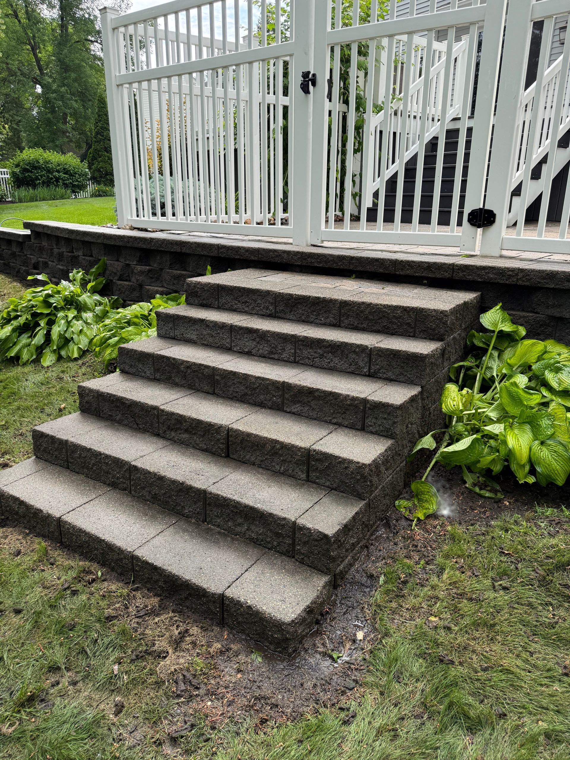 Concrete steps leading up to a white-railed deck surrounded by green plants and grass