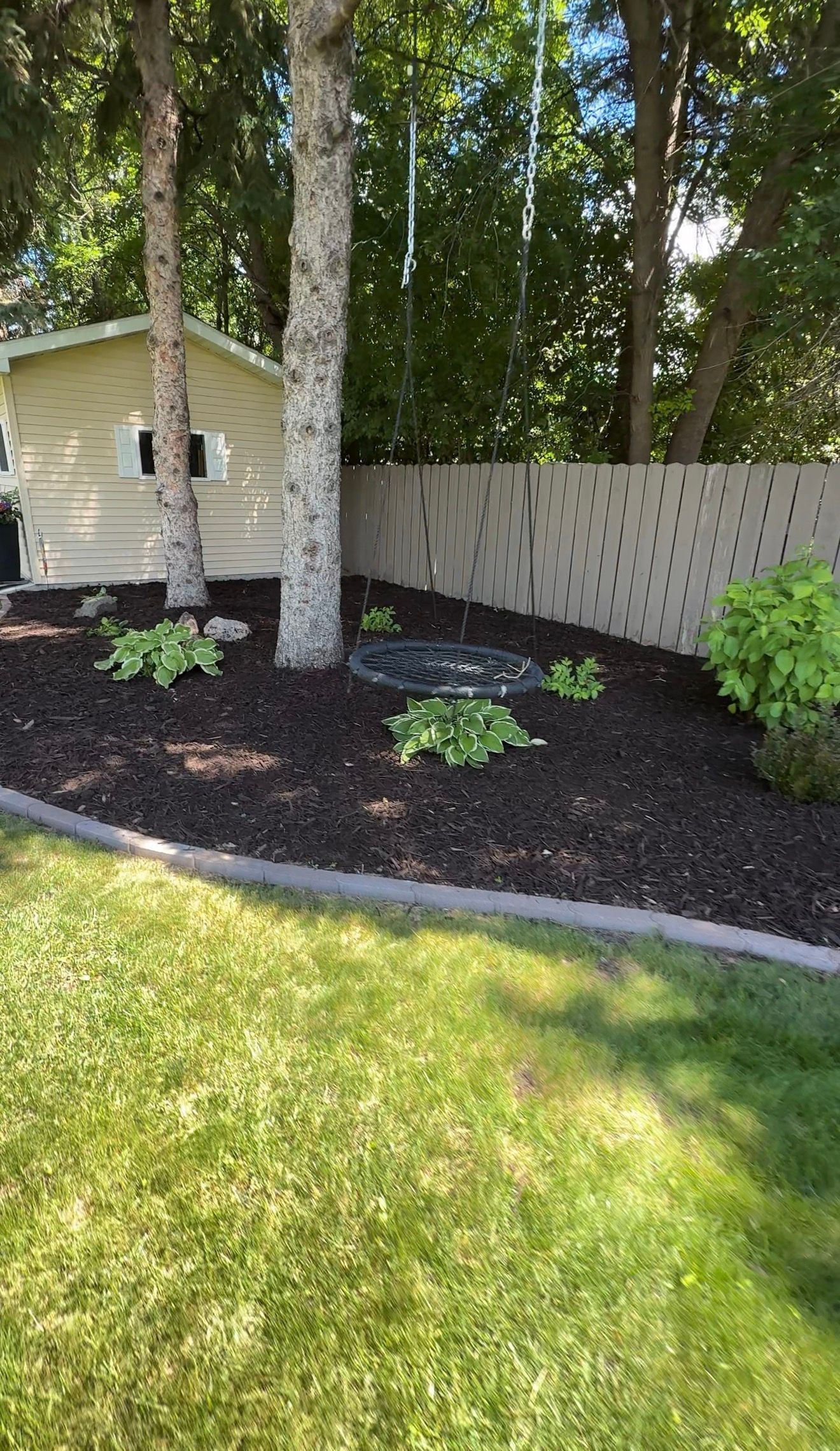 Backyard garden bed with white fence, birch trees, shrubs, and a lawn beside a house.