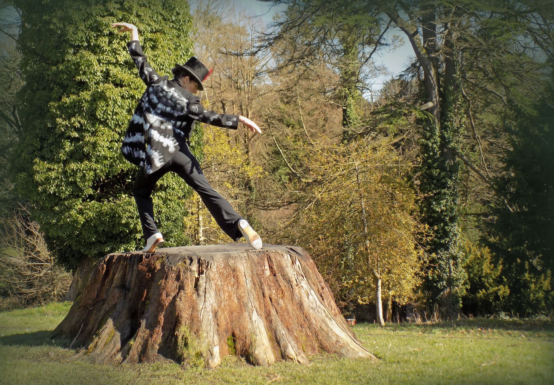 Person posing on a large tree stump in a sunny park with autumn trees.