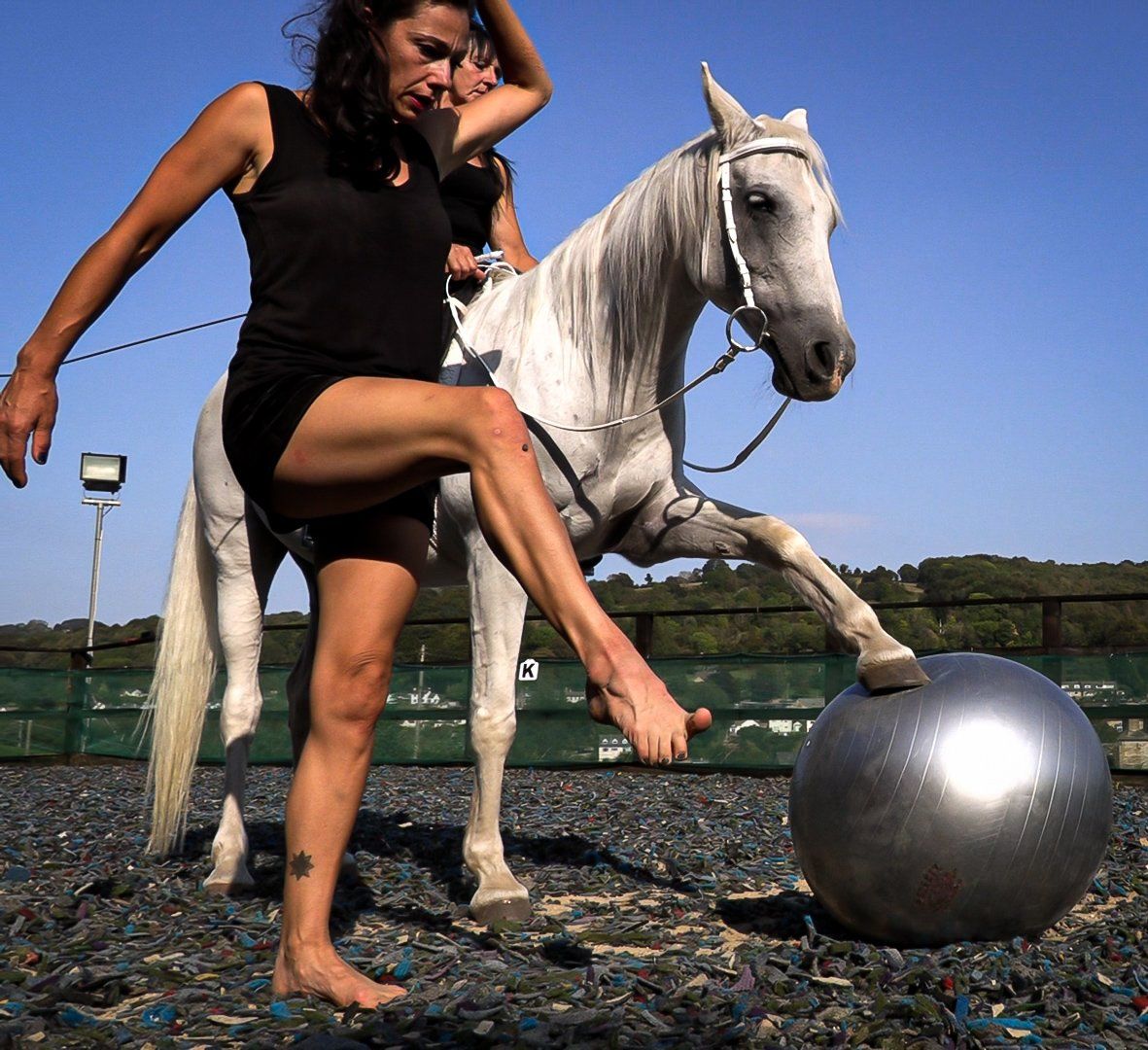 Woman stepping beside a white horse near a silver exercise ball by the water