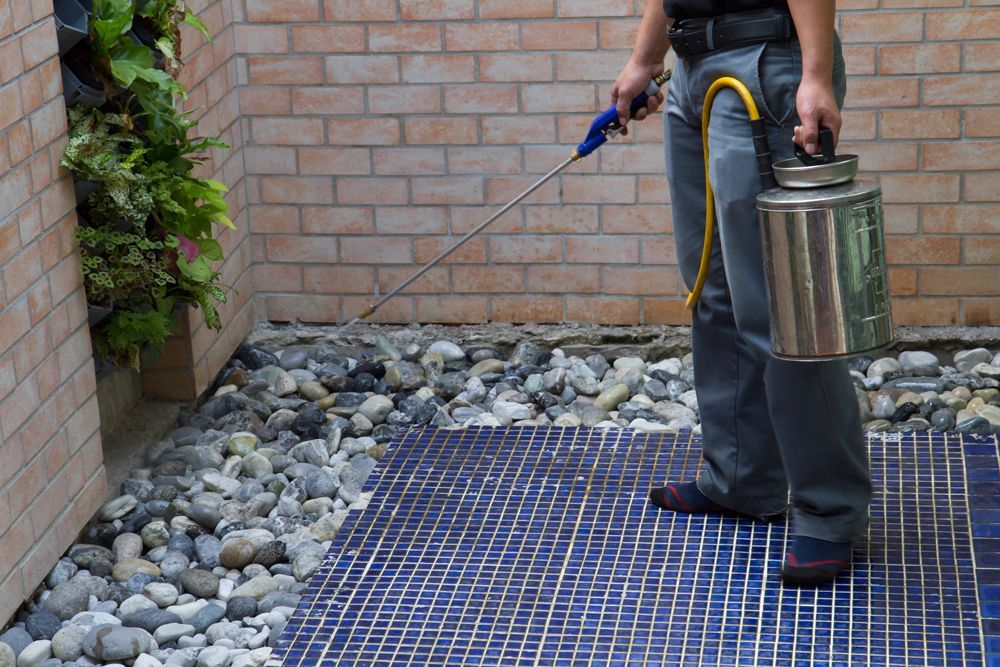 Professional Worker Spraying Pesticides