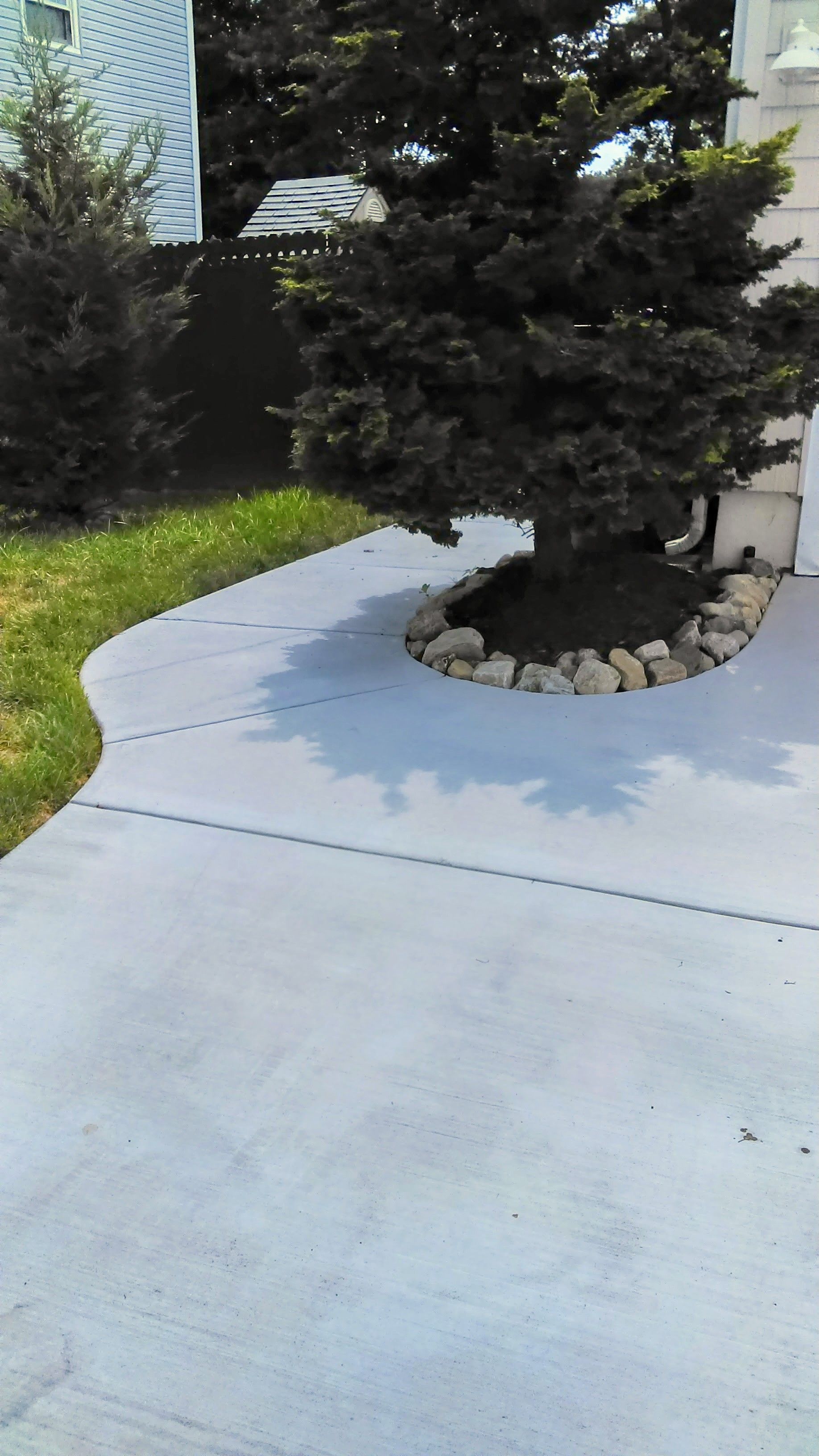 Gray concrete walkway curves around a tree with dark green foliage.