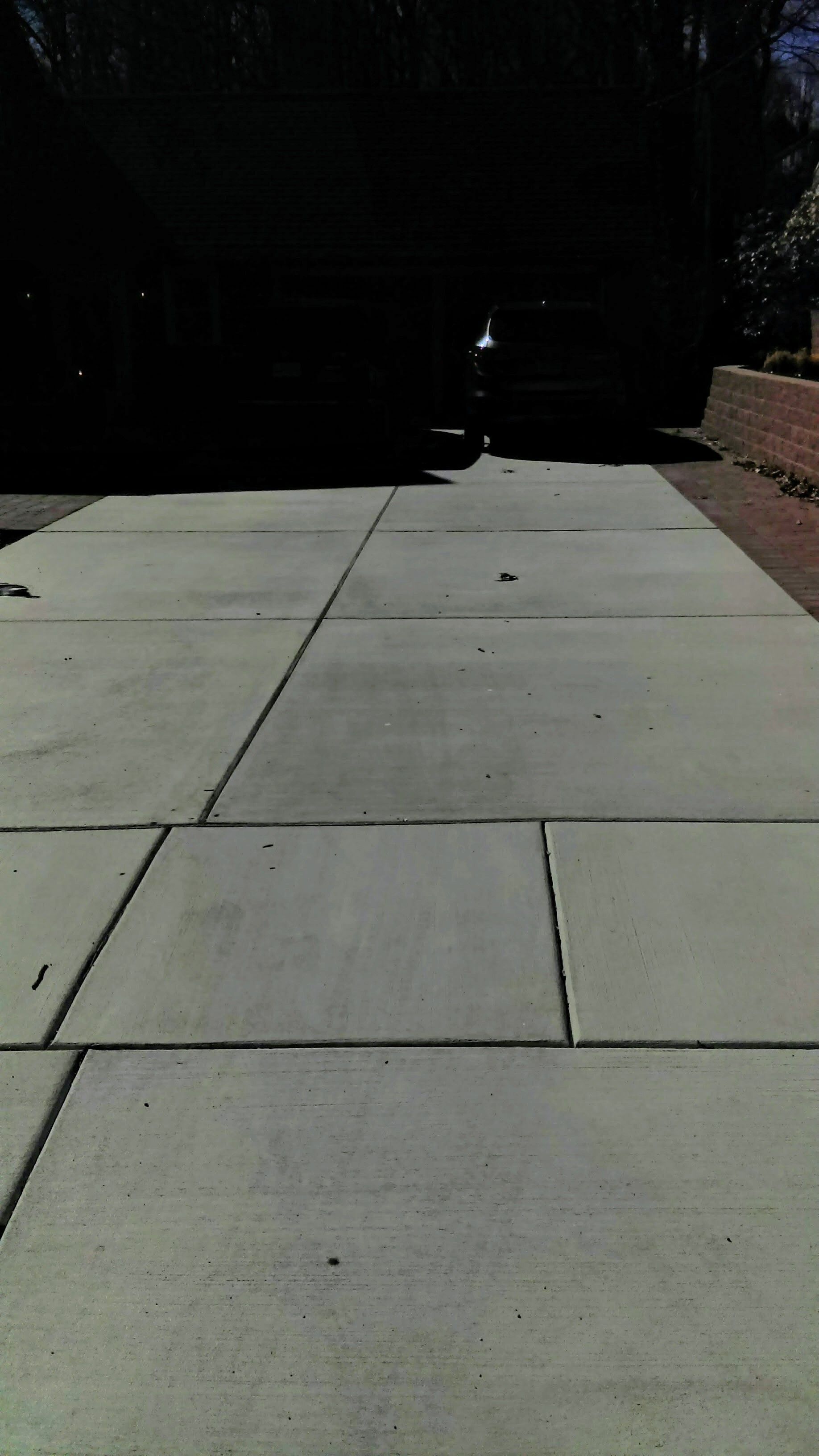 Concrete driveway leading to a shadowed garage, surrounded by trees and a brick wall.