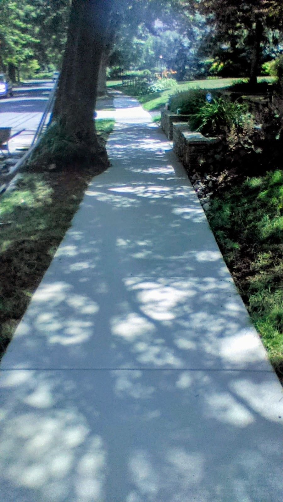 Sidewalk shaded by trees, with grass and low stone wall.