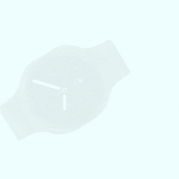 INS LifeGuardian Watch preview