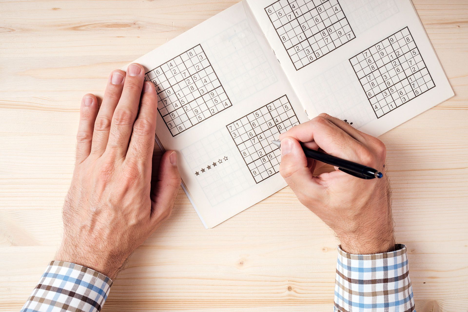 sudoku puzzle