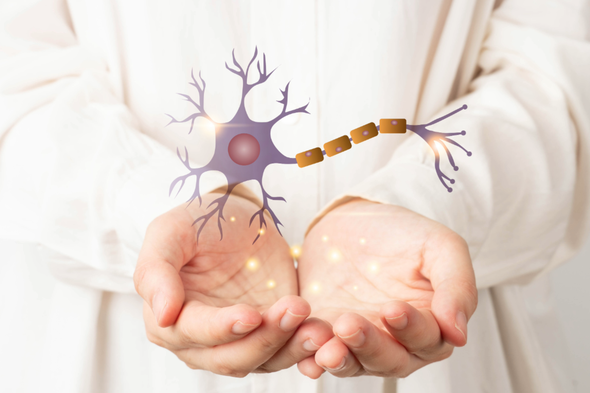 Motor neuron illustration representing Motor Neurone Disease (MND) and neurological changes 