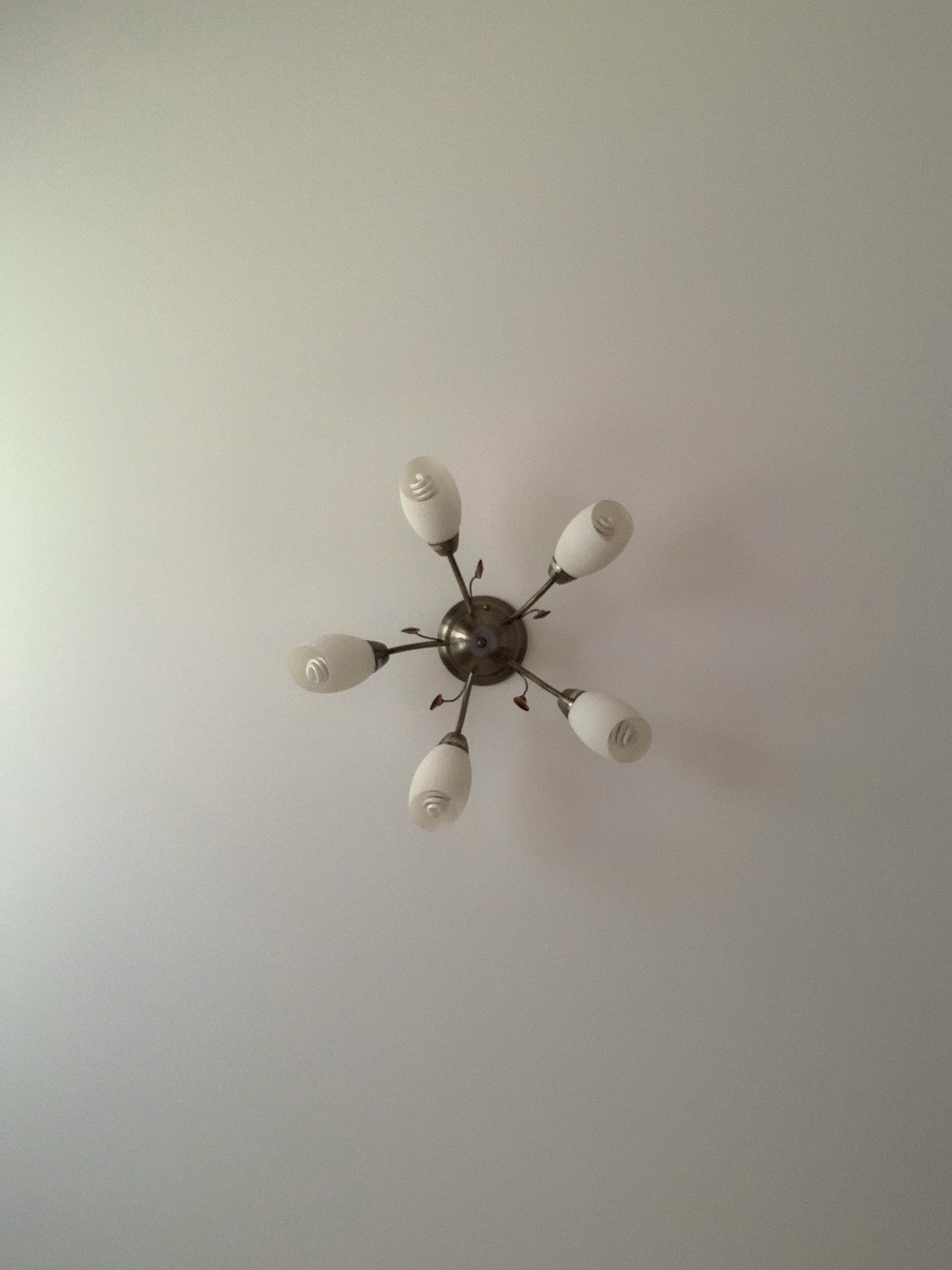Ceiling light fixture with five frosted bulbs on a white ceiling