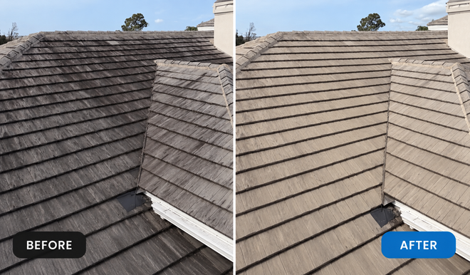 Clean shingle roof after soft washing