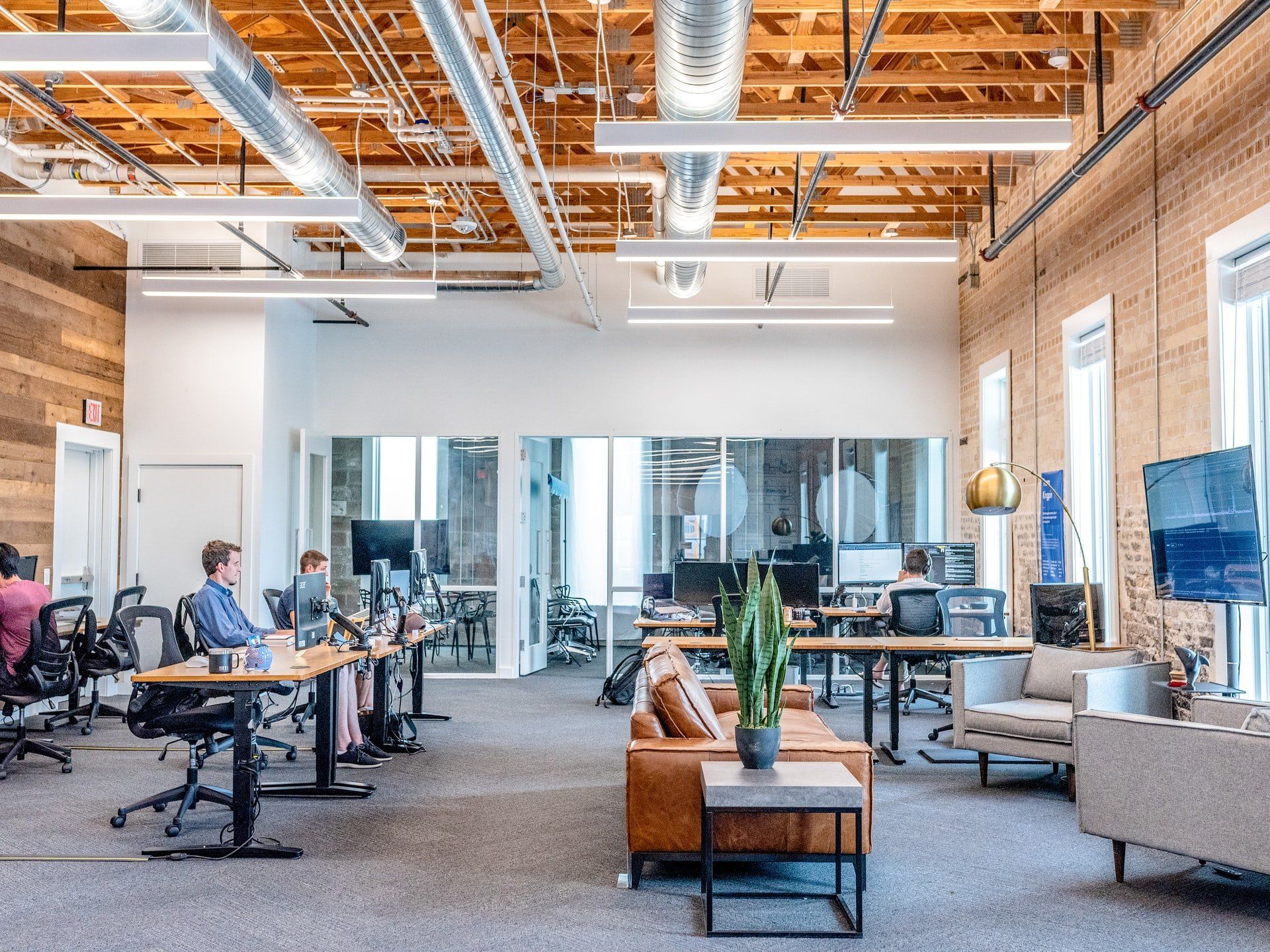 Several employees working in a cozy, spacious, productivity-inducing office