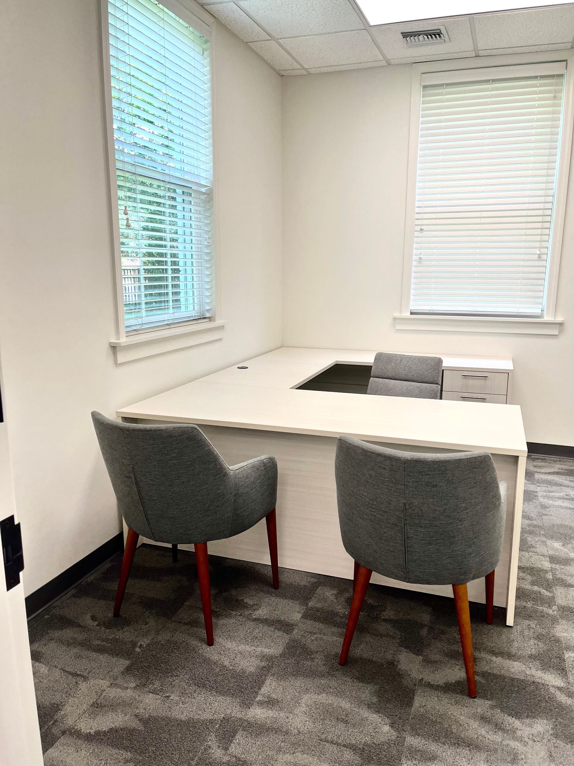 office space mineola