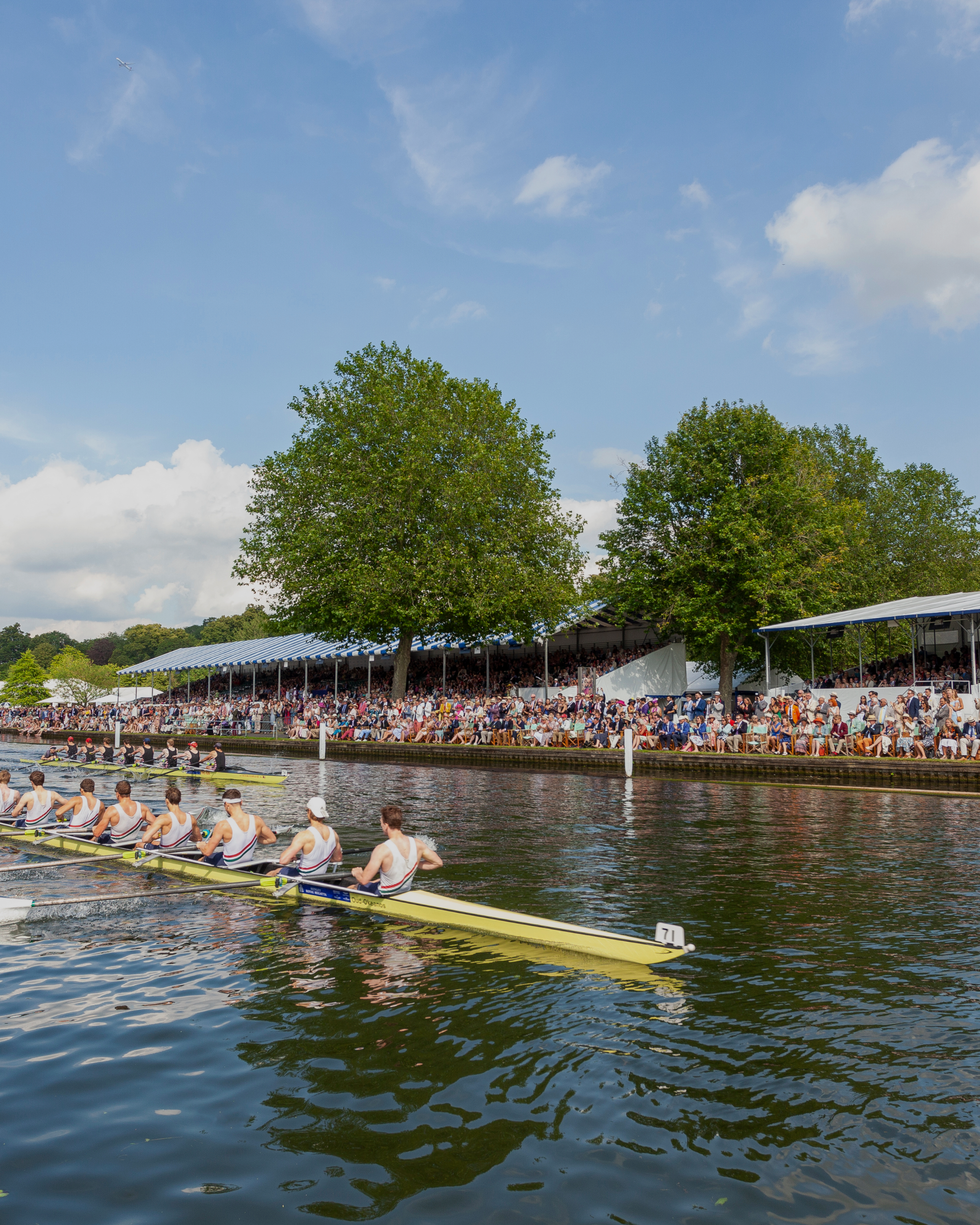 Henley Regatta Hospitality
