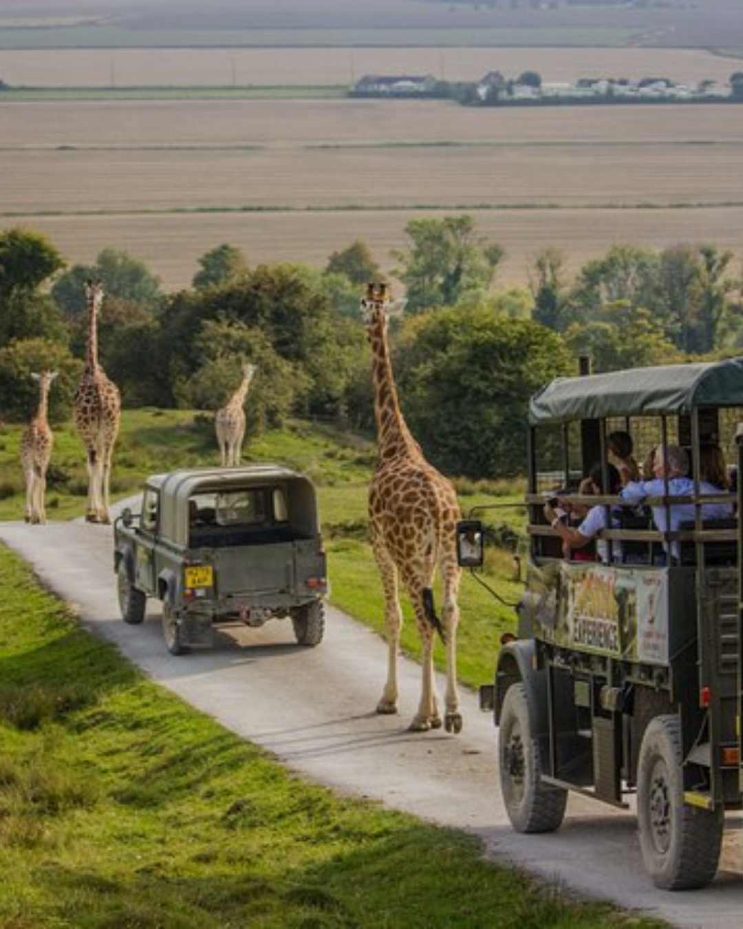 Port Lympne