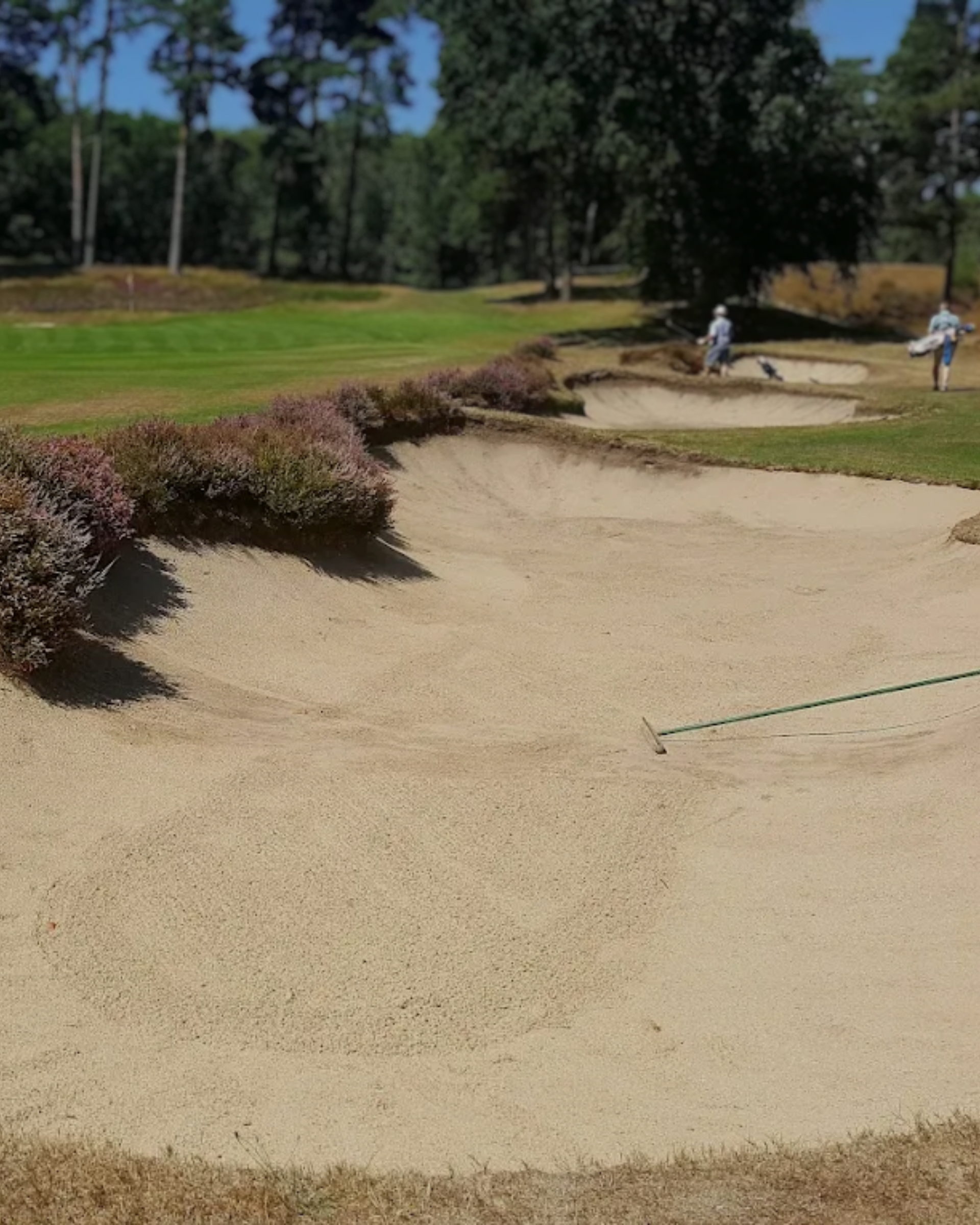 London Ryder Cup: West vs East Golf Event