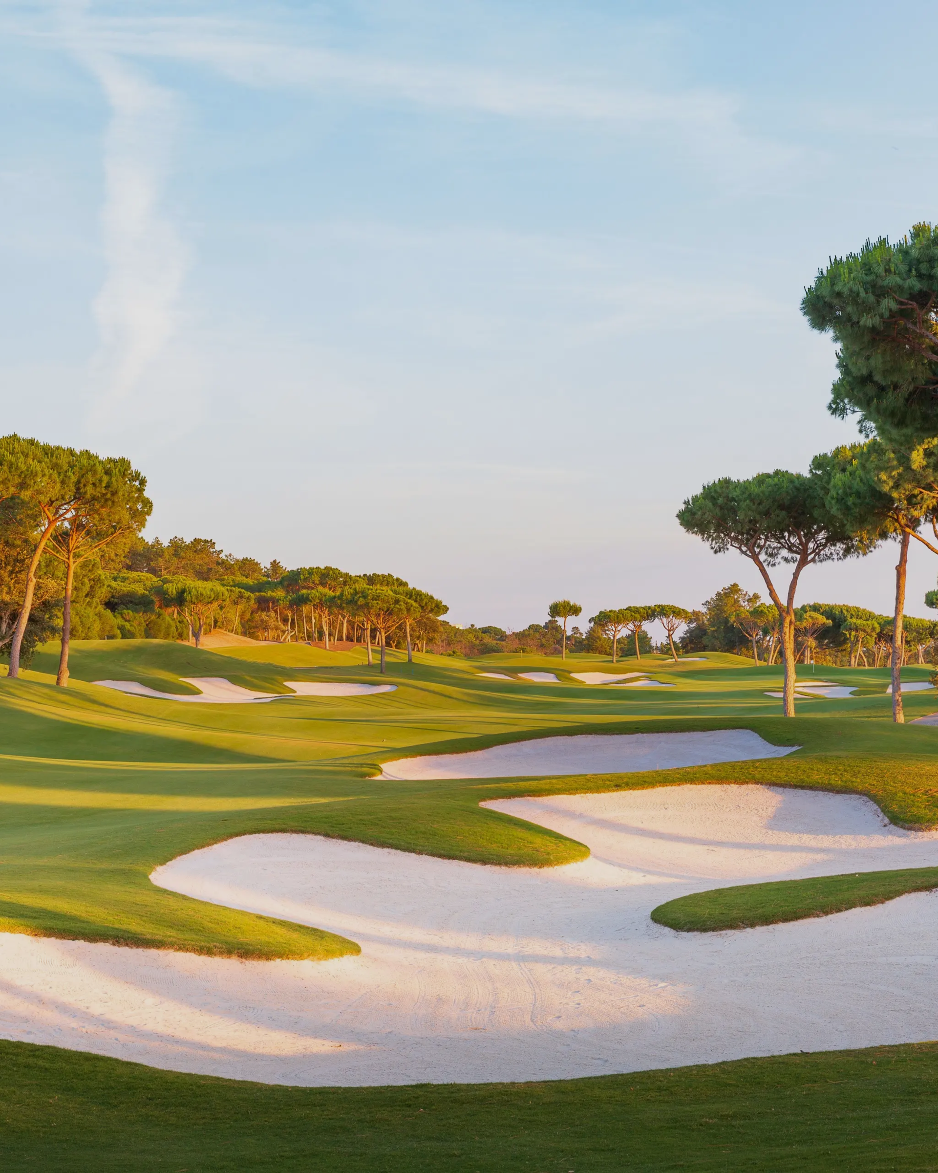Golf Hospitality