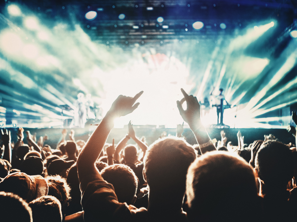 A crowd of people are watching a concert with their hands in the air.