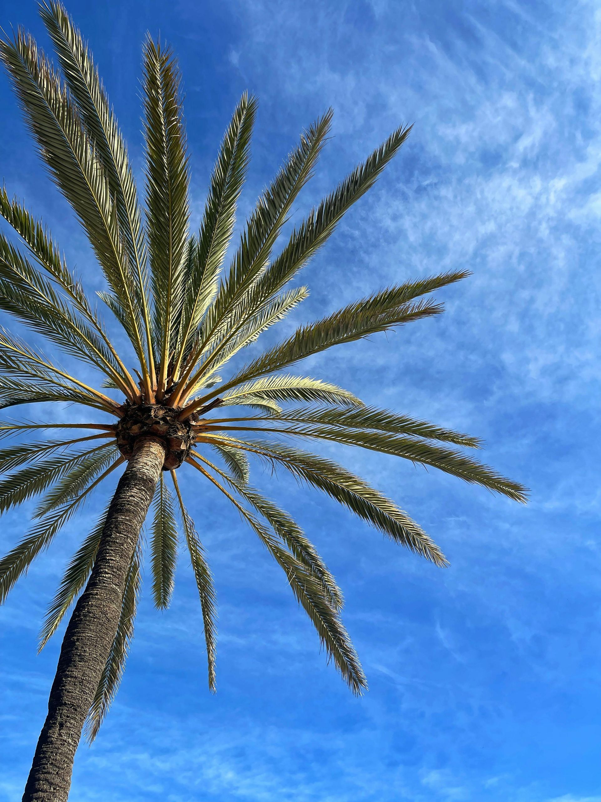 marbella