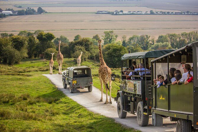 Safari event